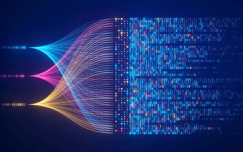 Data Analytics & Insights